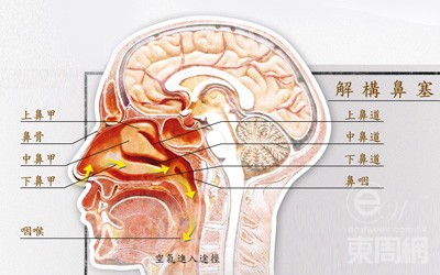 鼻塞自我按摩图解