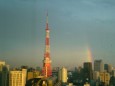 e-Blog